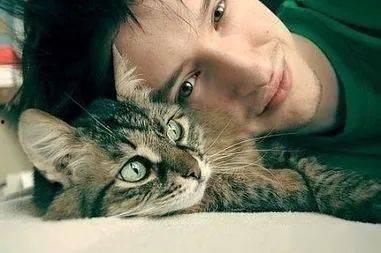 国产男猫变人视频,国产男猫的奇幻变身之旅