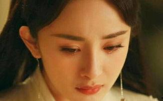 国产女星哭泣视频大全在线观看,哭泣视频大全在线观看