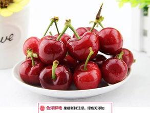 国产樱桃 图片欣赏视频,尽赏春日鲜果盛宴