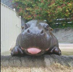 色河马国产视频老版本