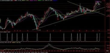 国产茅片视频网站,探索中国影视新天地