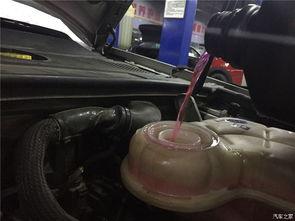 国产汽车换水泵视频大全