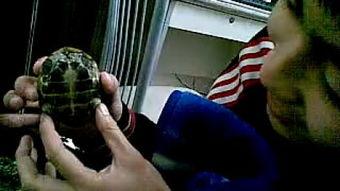 趴趴趴视频国产,趴趴趴视频引领国产潮流