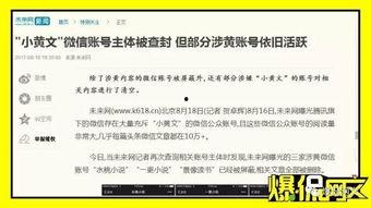 国产经典小黄文视频,揭秘国产经典小黄文视频背后的故事