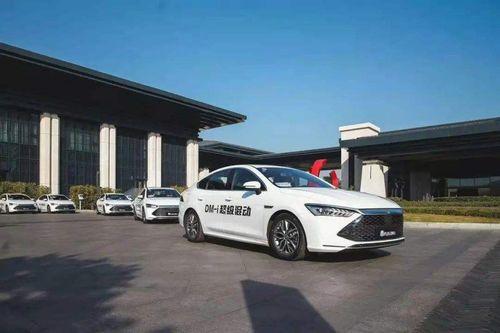 2023国产汽车视频,创新驱动，品质升级