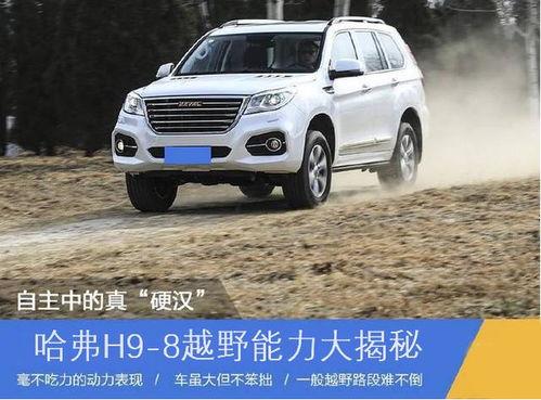 国产哈佛h9越野视频