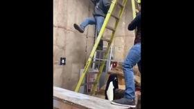 国产交通工具视频,国产交通工具的演变与辉煌