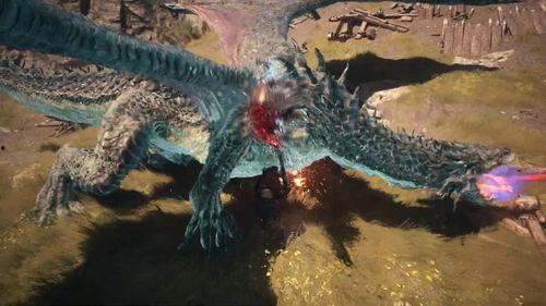 国产龙与国外龙对比视频,一场视觉与文化碰撞的盛宴