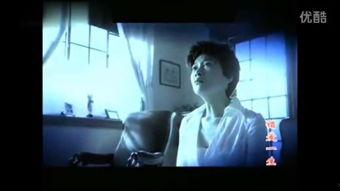 夜夜欢国产东北视频,国产视频中的东北魅力展现