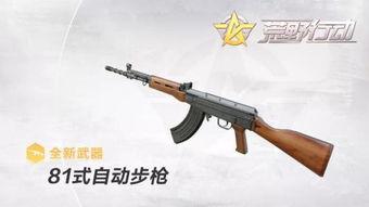 国产最新步枪解说游戏视频,游戏视频深度解析，揭秘战场利器风采  第2张