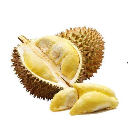 国产金枕榴莲开果视频,果实饱满诱人  第2张