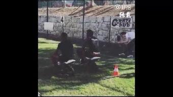 高清国产野外视频,揭秘自然生态的壮丽画卷  第1张