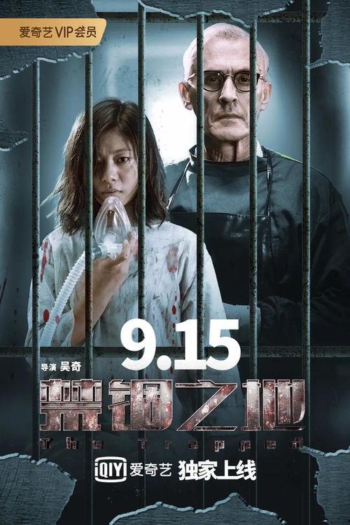 国产悬疑视频鉴赏  第3张